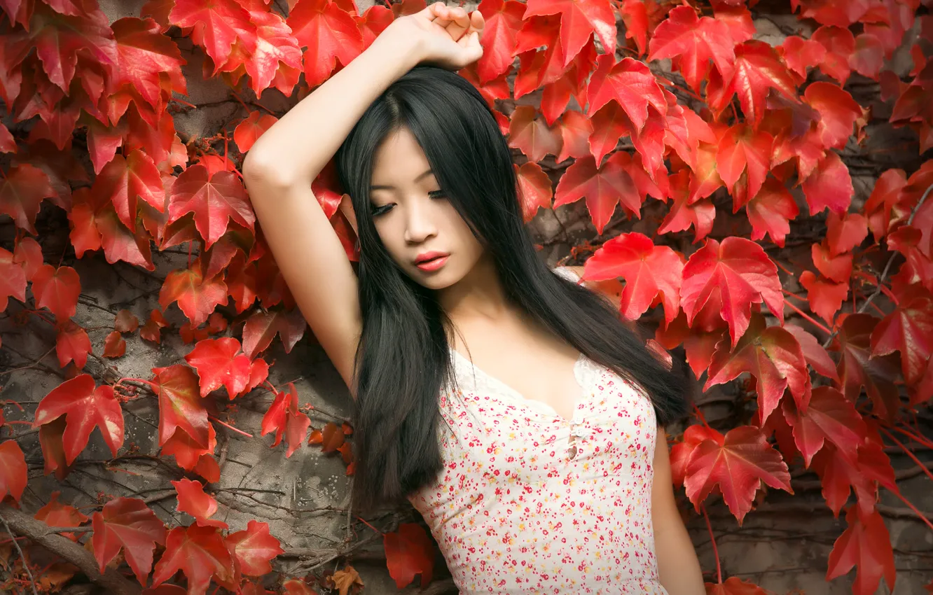 Photo wallpaper leaves, girl, background