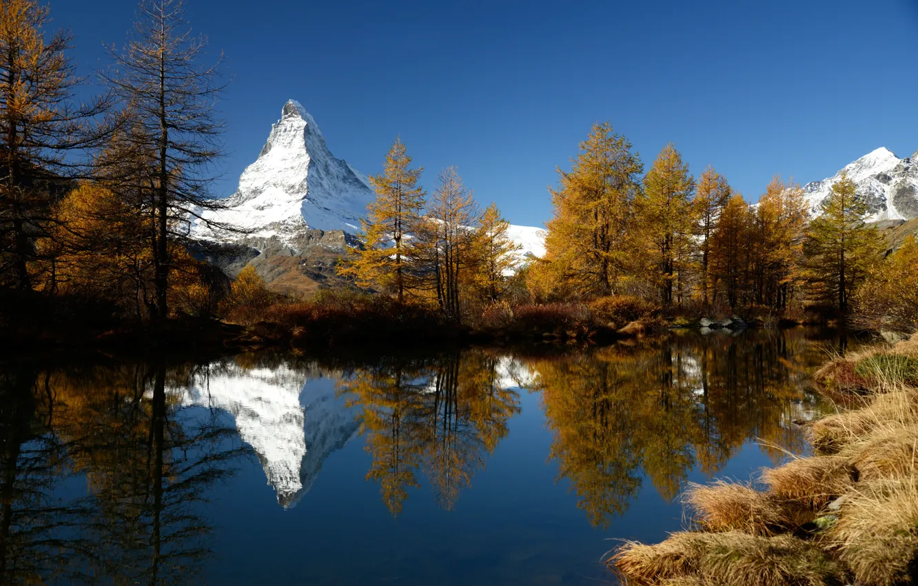 Photo wallpaper trees, mountains, lake, reflection, tops, Switzerland, Grindjisee