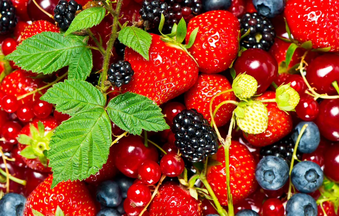 Photo wallpaper leaves, berries, strawberry, currants, cherry, BlackBerry