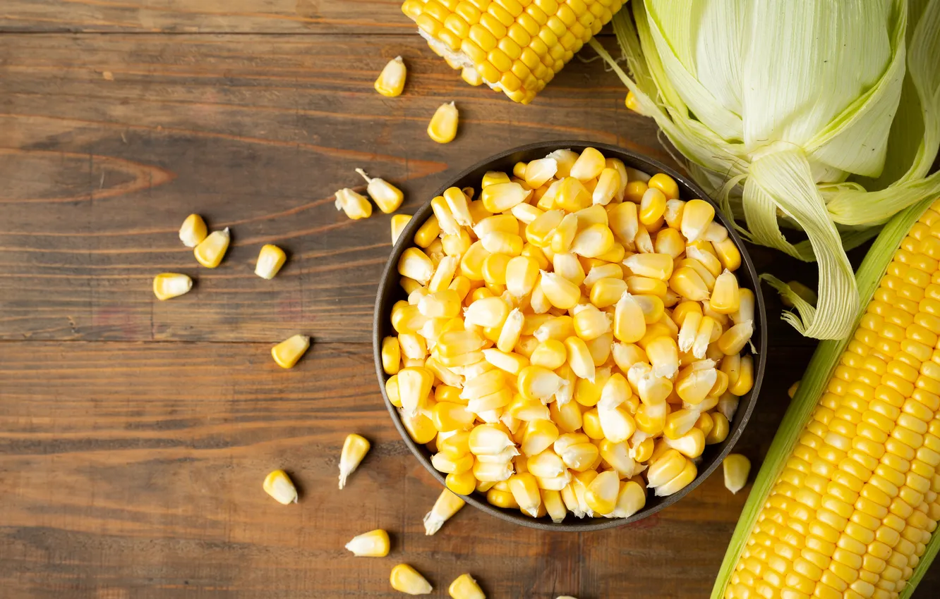 Photo wallpaper corn, the cob, corn grains