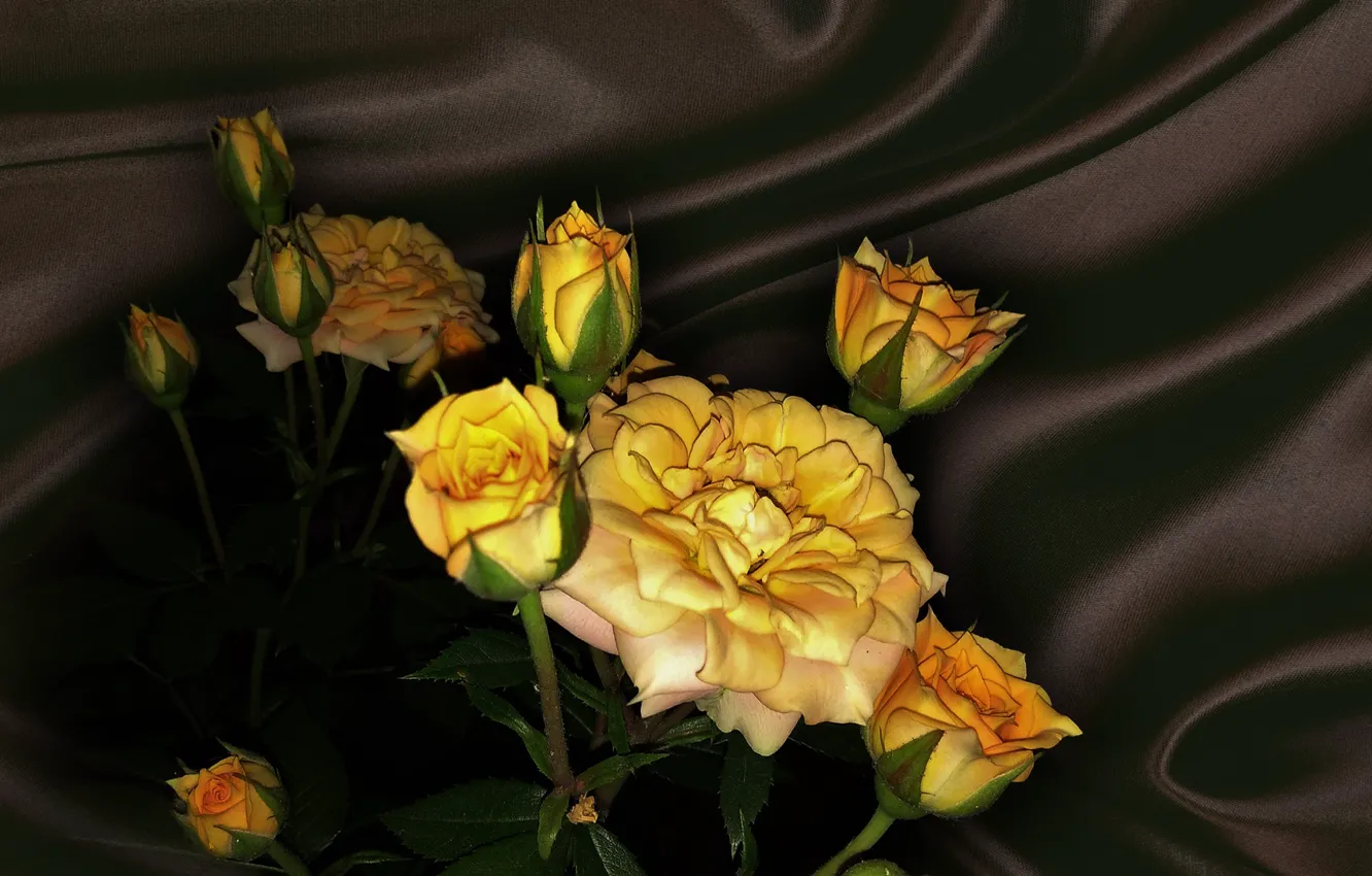 Photo wallpaper summer, flowers, nature, mood, roses, beauty, bouquet, rose