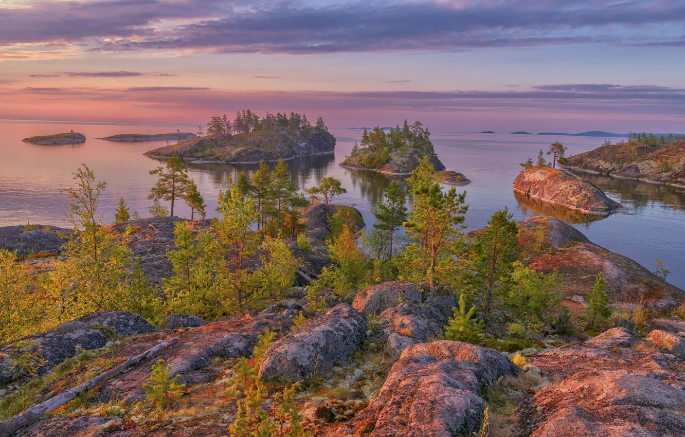 Photo wallpaper trees, landscape, nature, lake, stones, dawn, morning, Lake Ladoga