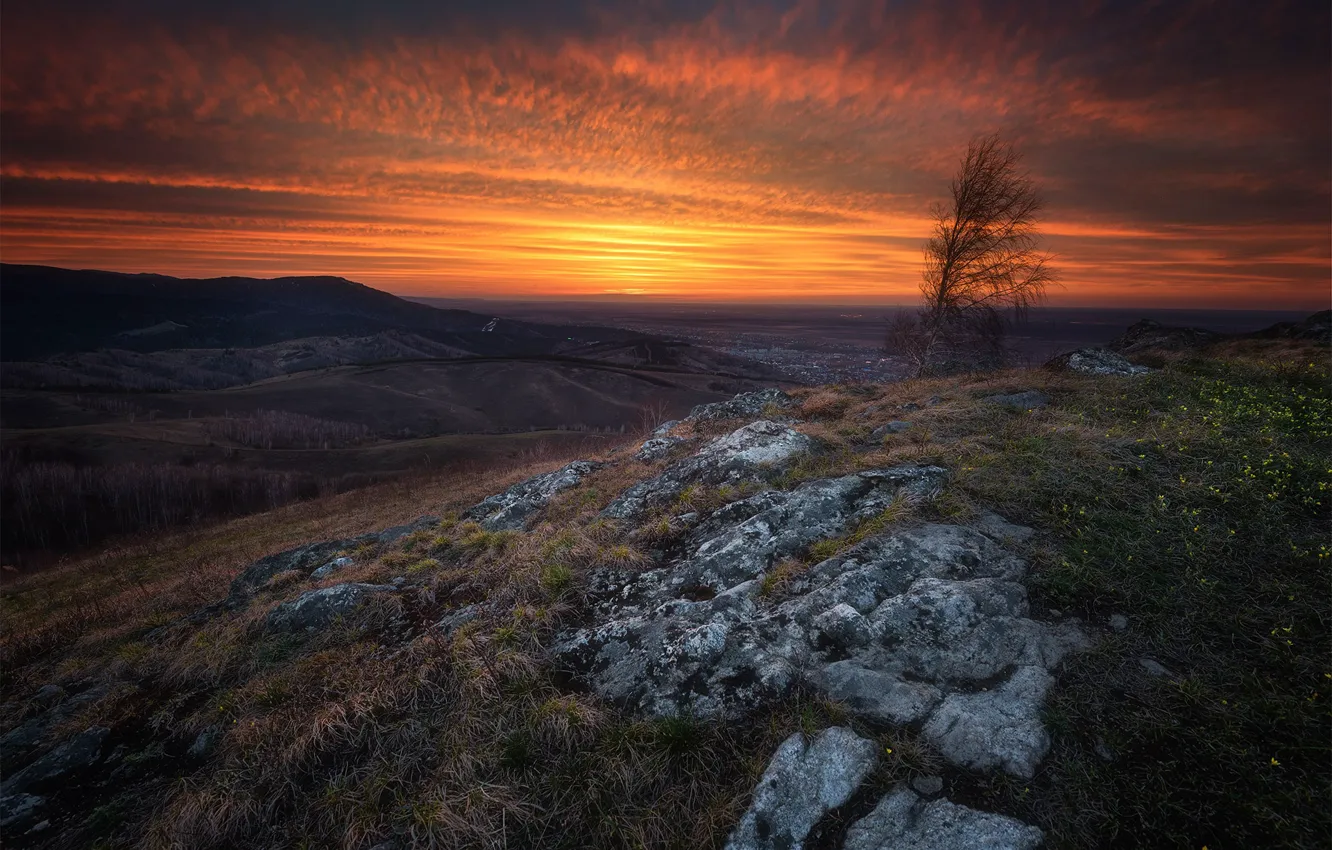 Photo wallpaper autumn, the sky, clouds, trees, sunset, flowers, mountains, stones