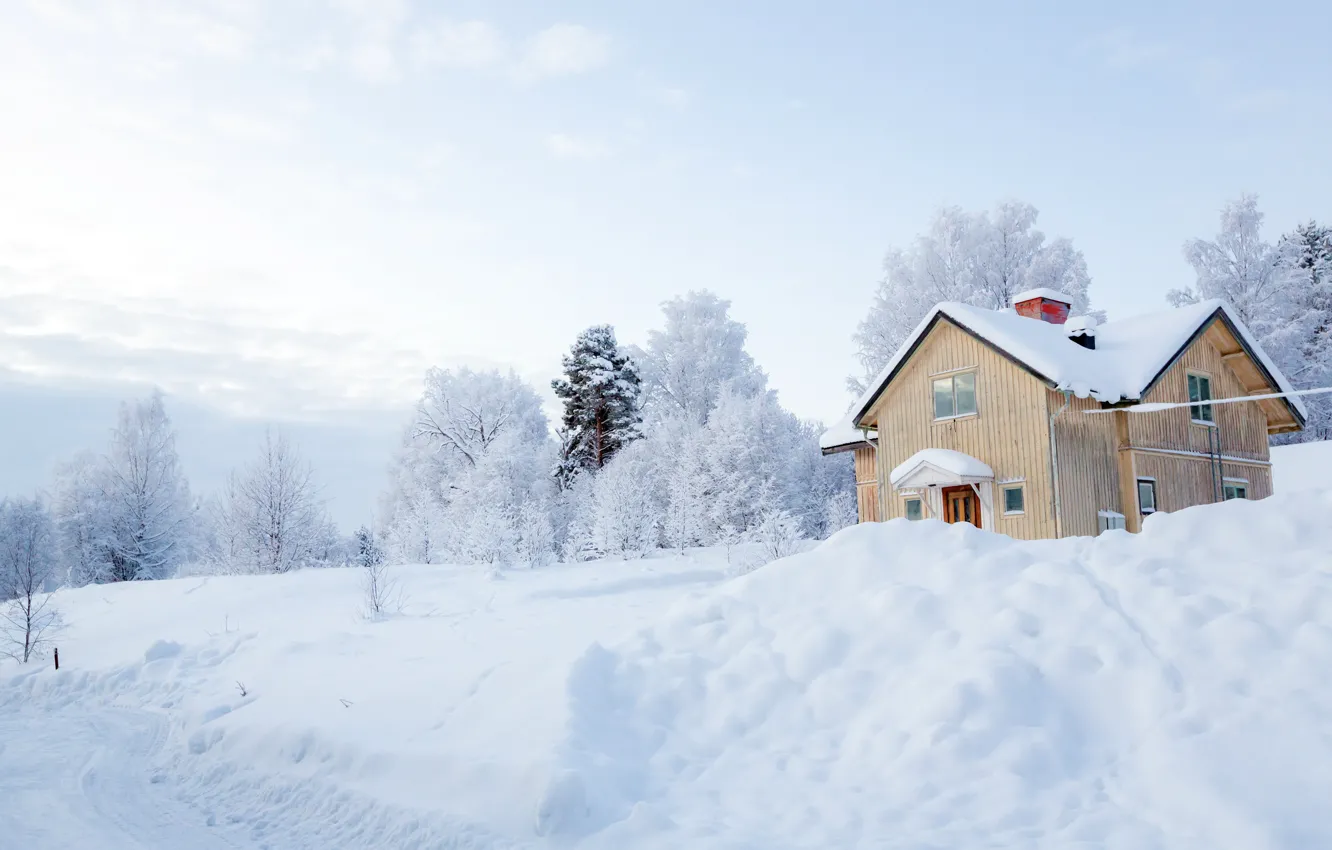 Photo wallpaper winter, snow, trees, landscape, nature, winter, house, house