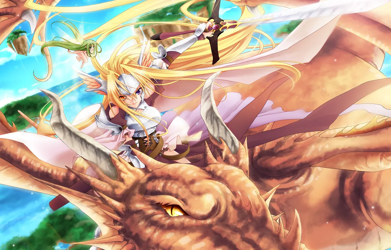 Photo wallpaper girl, flight, dragon, sword, fairy, art, miyako910724