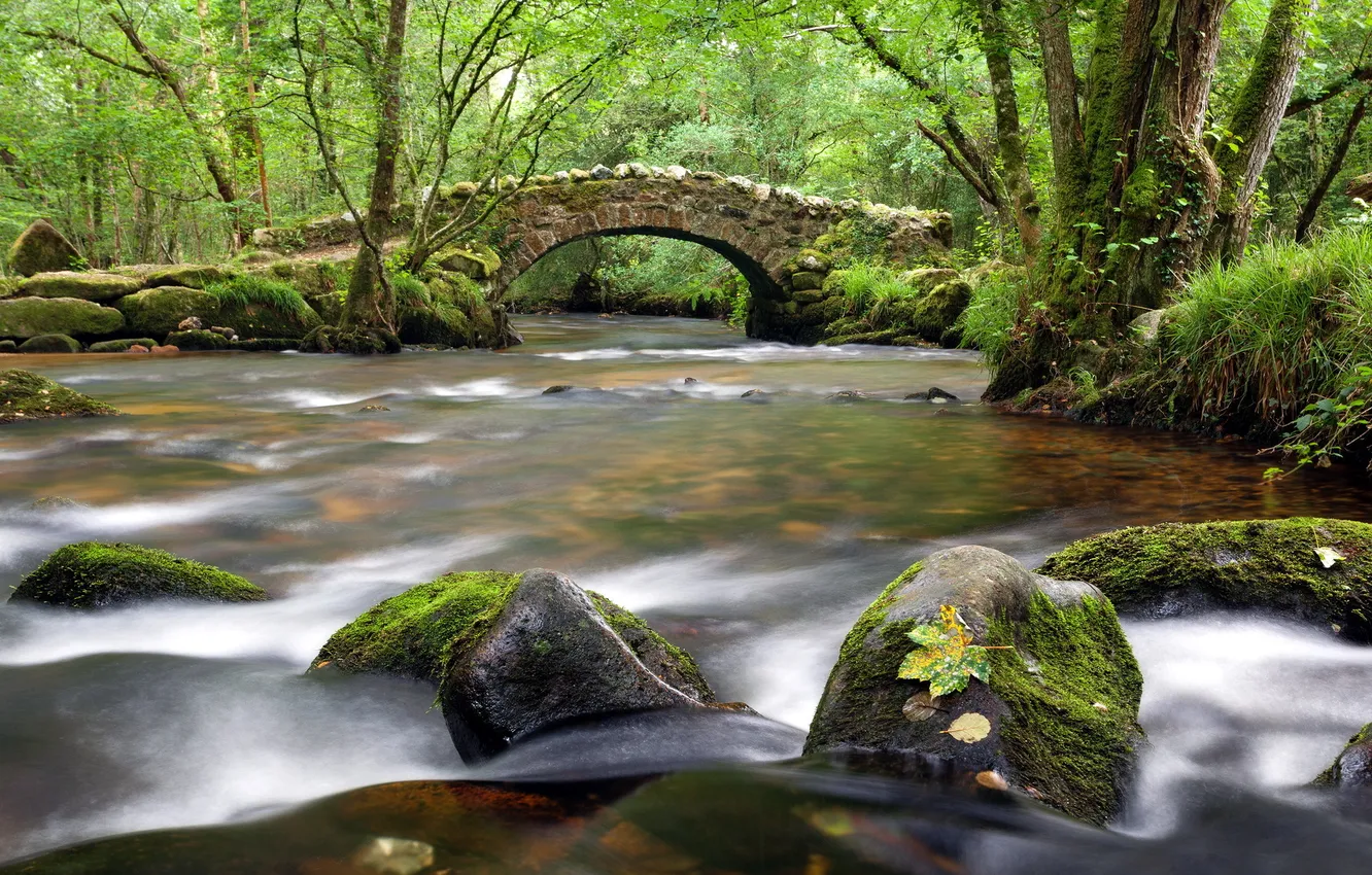 Photo wallpaper landscape, bridge, river