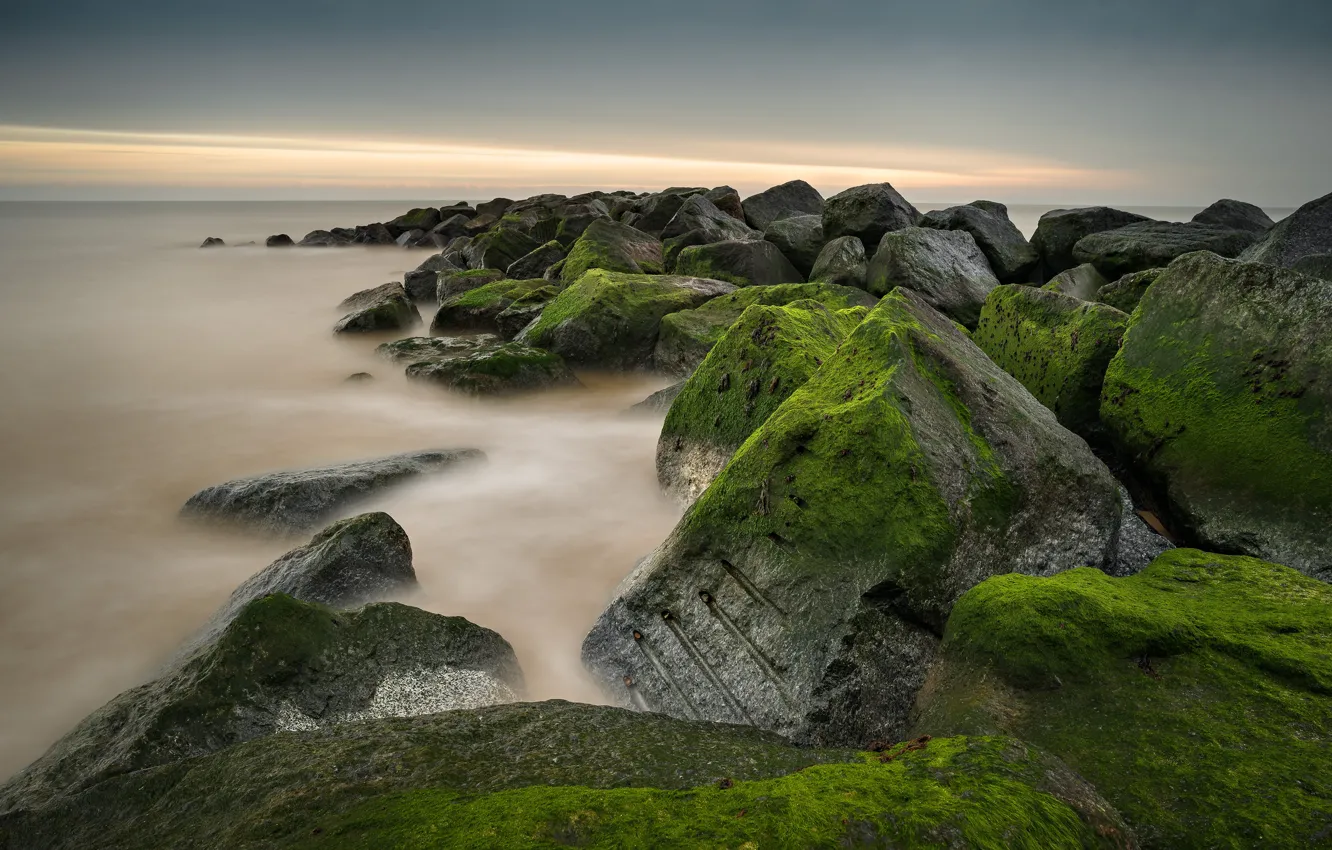Photo wallpaper sea, the sky, clouds, algae, stones, shore, moss, green