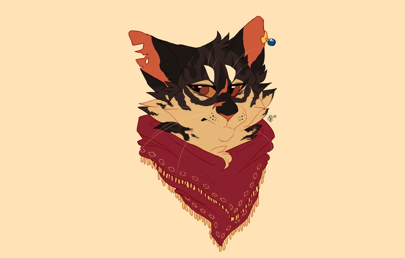 Photo wallpaper cat, face, shawl
