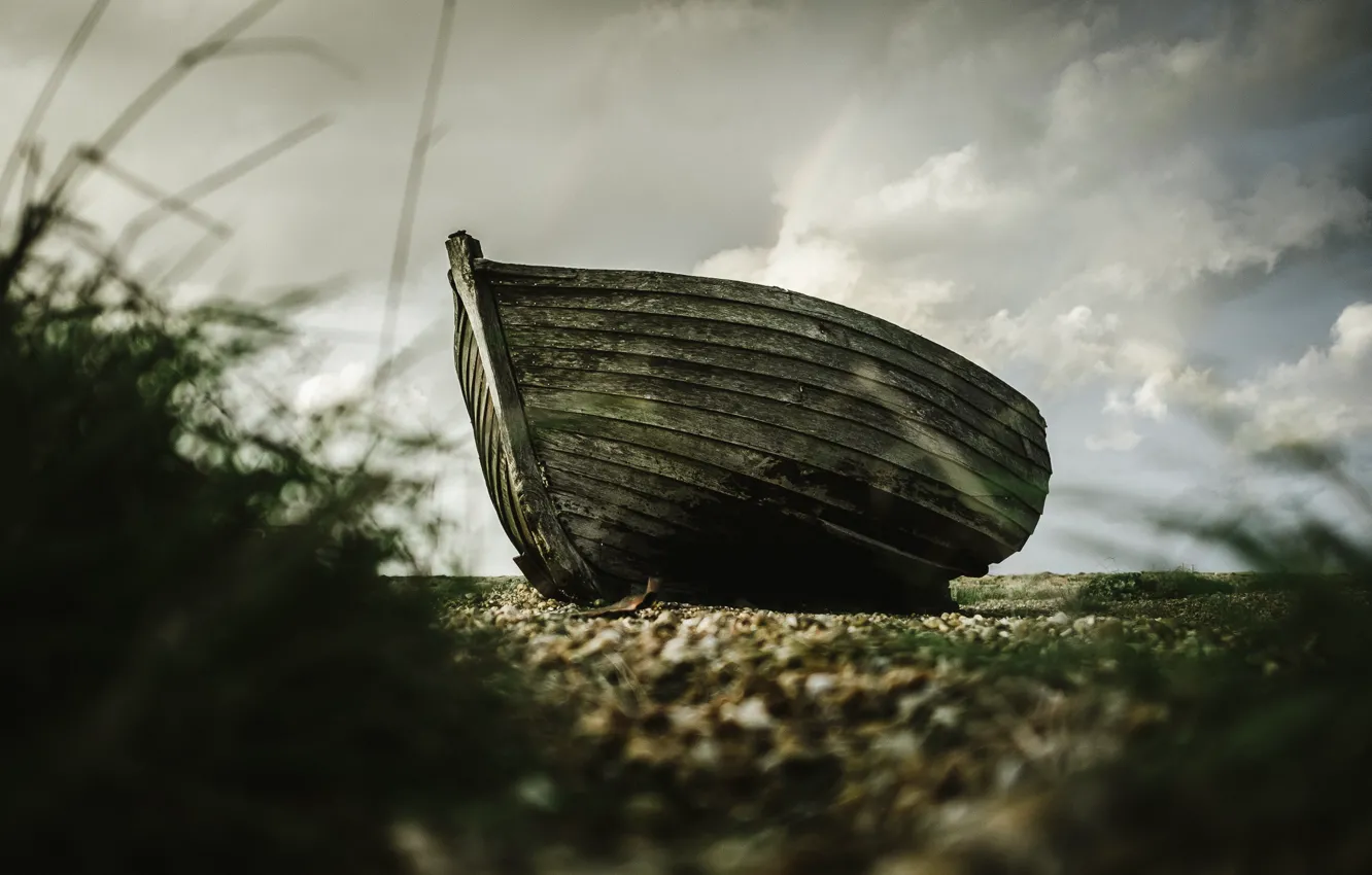 Photo wallpaper grass, shore, boat, wooden