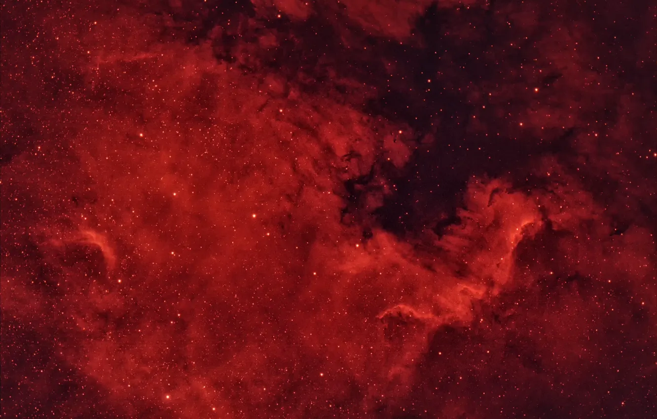 Photo wallpaper Swan, in the constellation, NGC7000, The North America Nebula