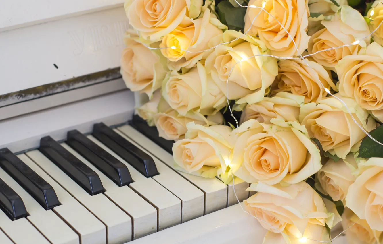 Photo wallpaper flowers, yellow, roses, yellow, flowers, roses