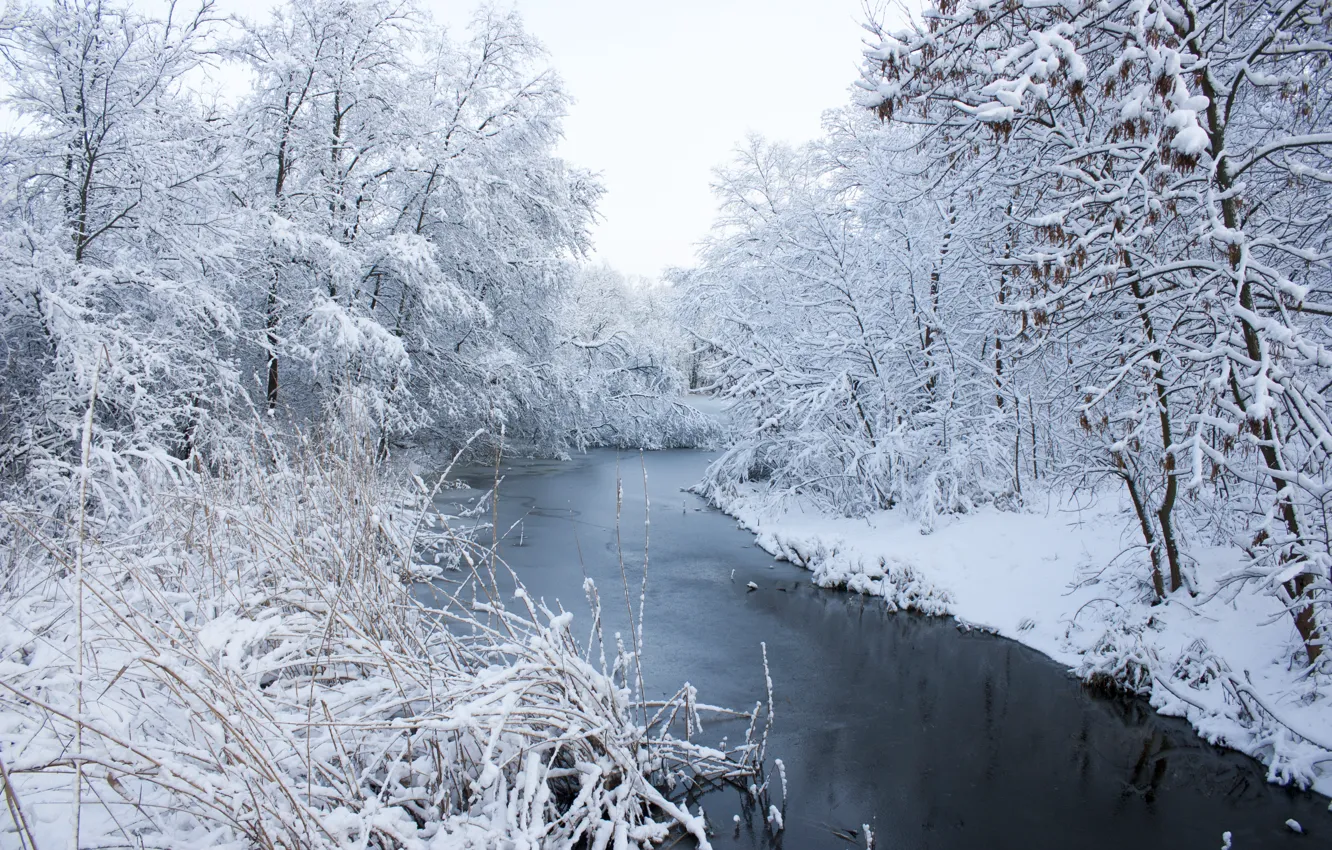 Photo wallpaper winter, snow, trees, landscape, river, white, river, landscape