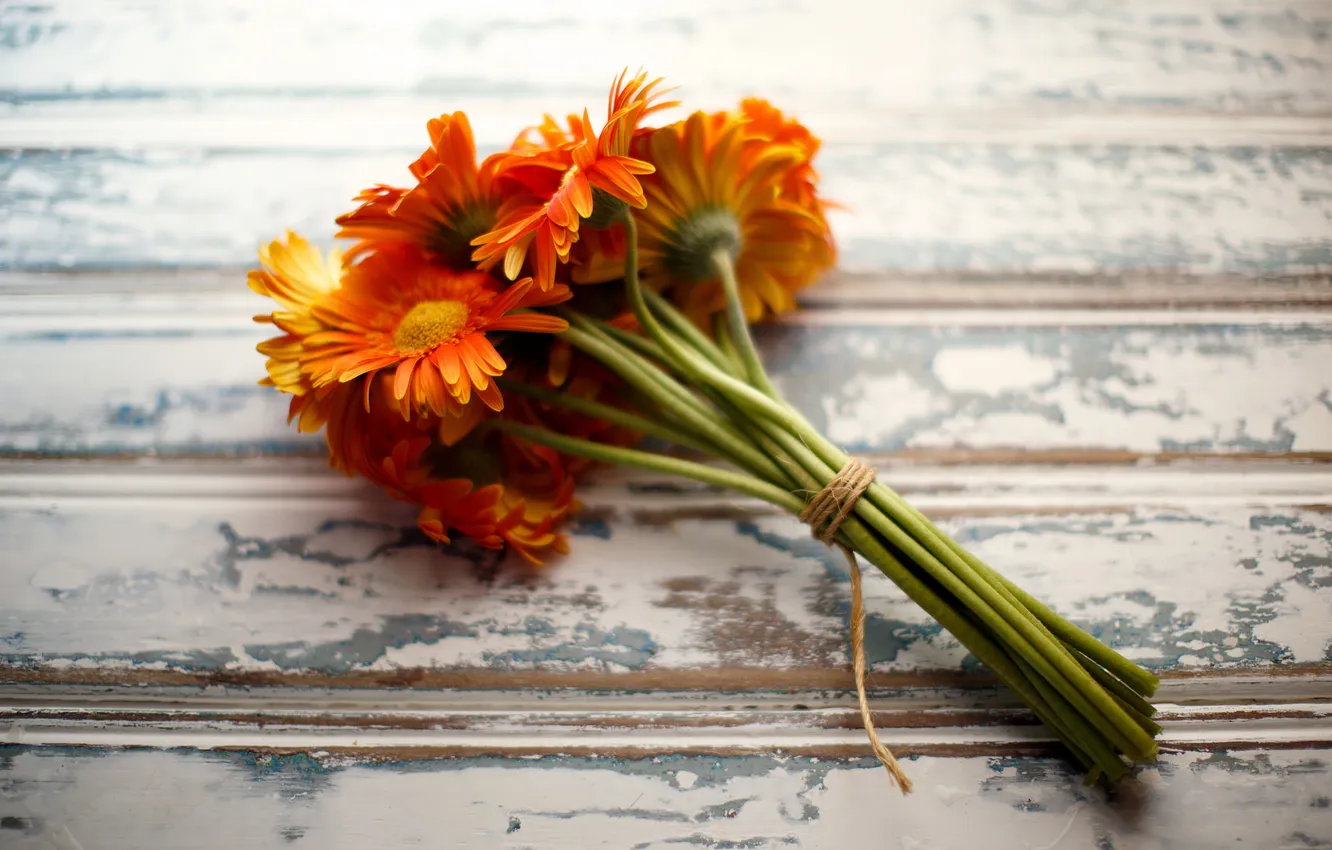 Photo wallpaper Board, bouquet, gerbera