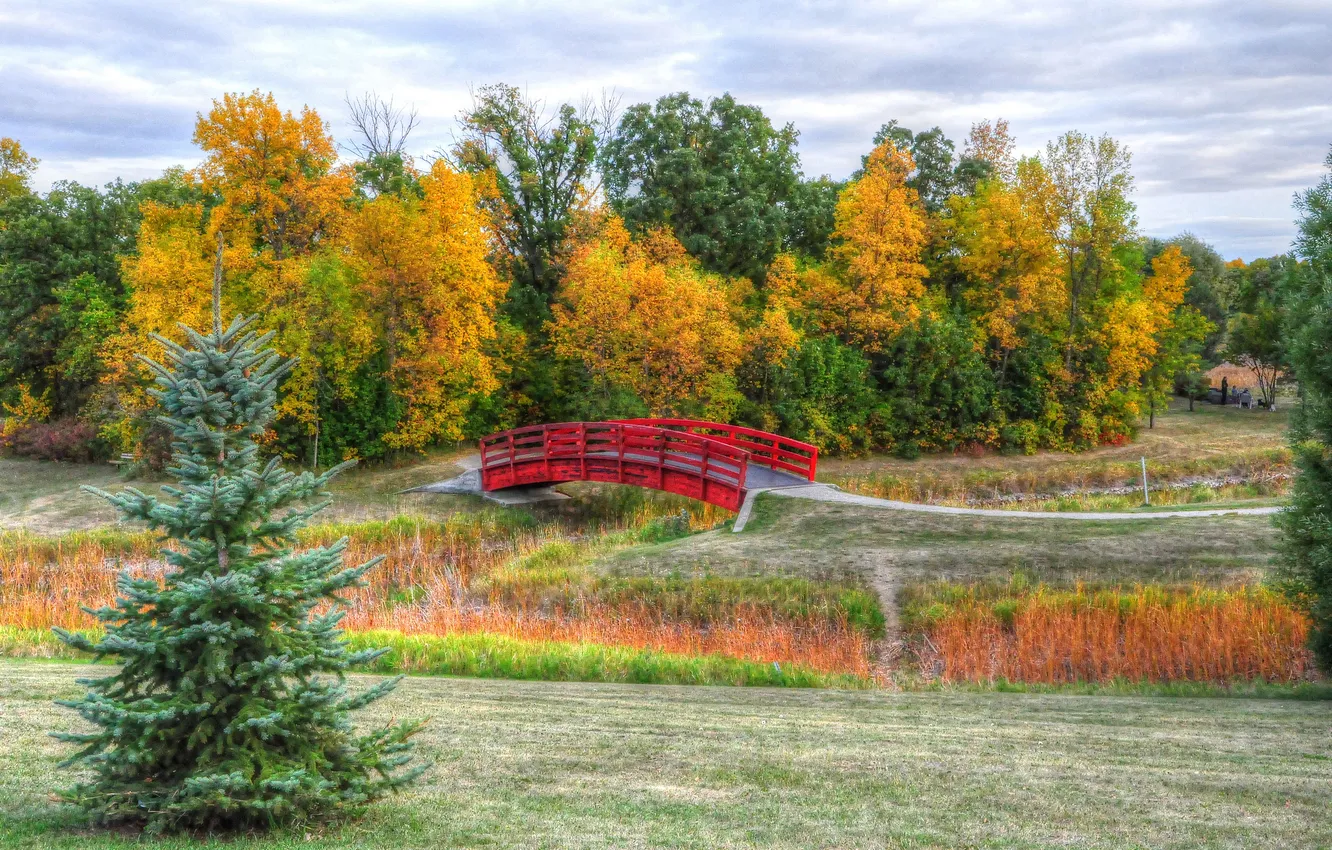 Photo wallpaper autumn, the sky, grass, trees, bridge, Park