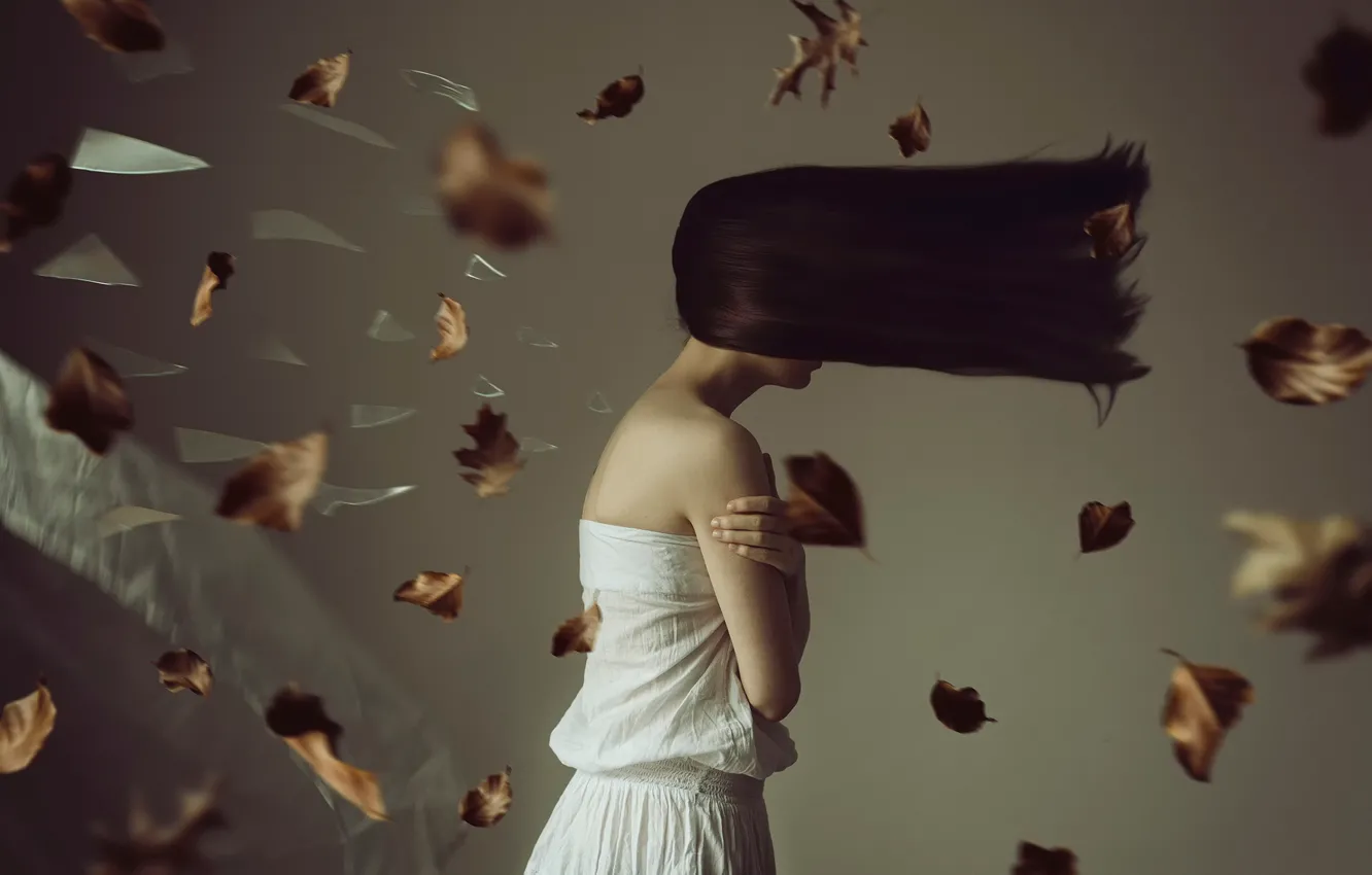 Photo wallpaper leaves, fragments, the wind, hair, Broken window