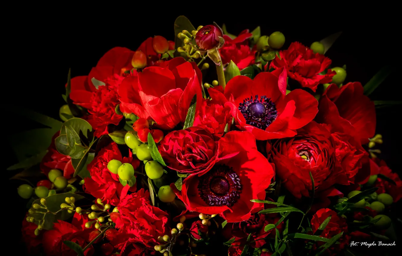 Photo wallpaper red, bouquet, tulips, anemones, Ranunculus, clove