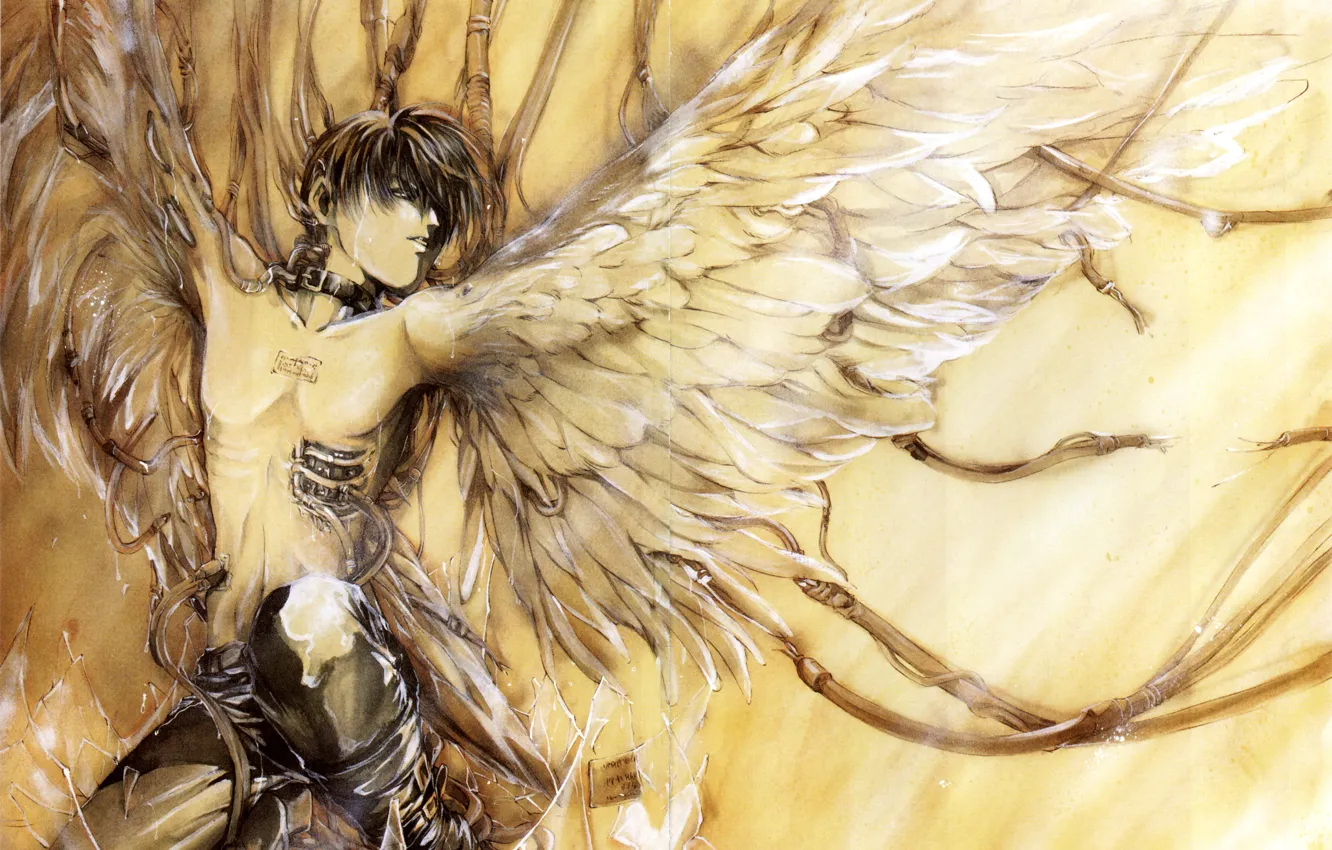 Photo wallpaper collar, strap, white wings, the abode of the angels, angel sanctuary, Setsuna Mudo, sitting on …