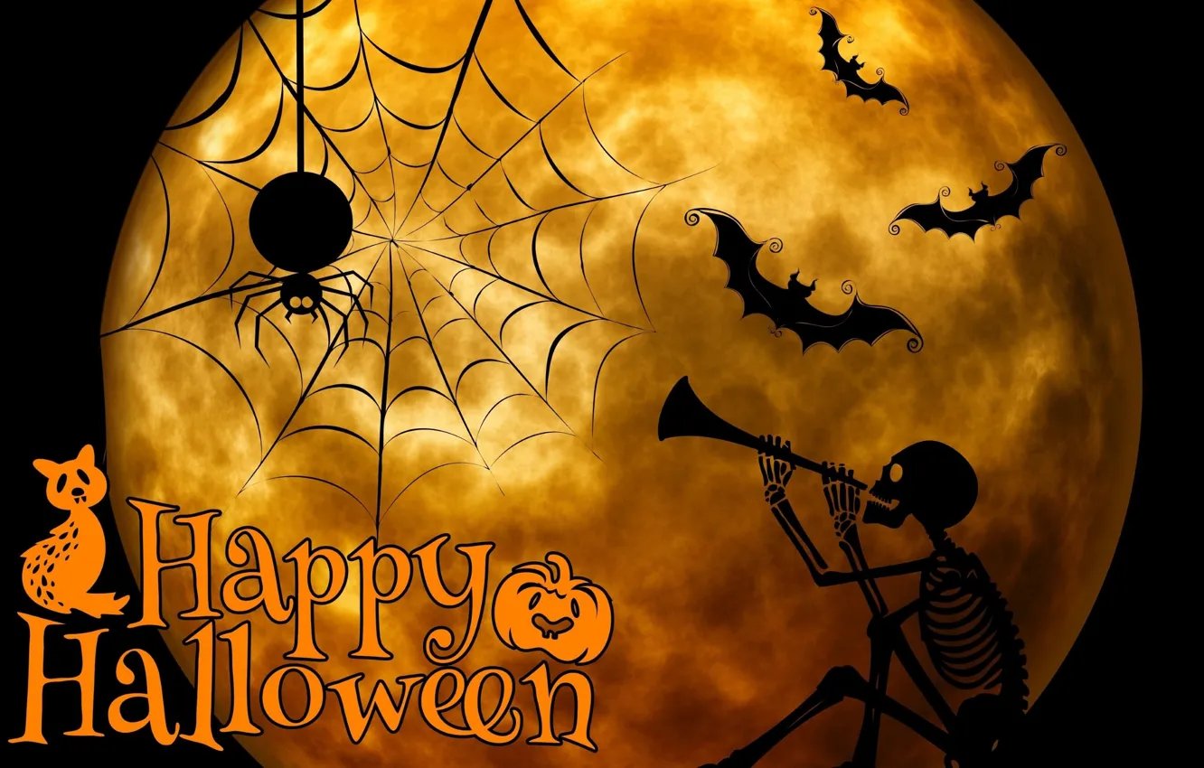 Photo wallpaper night, holiday, the moon, spider, skeleton, Halloween, bats