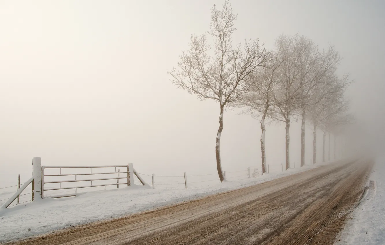 Photo wallpaper snow, fog, wintery road