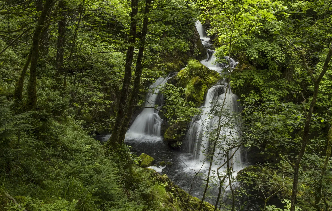 Photo wallpaper forest, river, England, waterfall, England, Lake District, Colwith Force, River Brathay