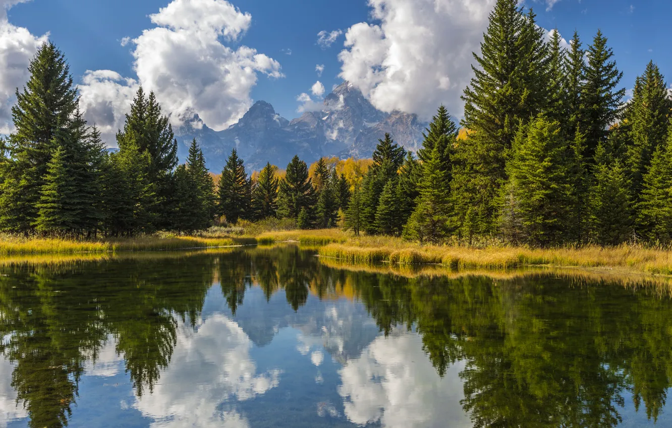 Photo wallpaper forest, the sky, water, the sun, clouds, trees, mountains, reflection