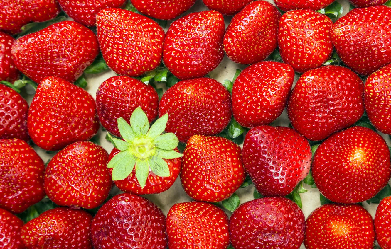 Photo wallpaper berries, strawberry, placer, a lot