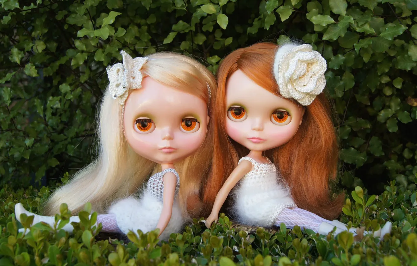 Photo wallpaper nature, toy, doll, girl, sitting, long hair