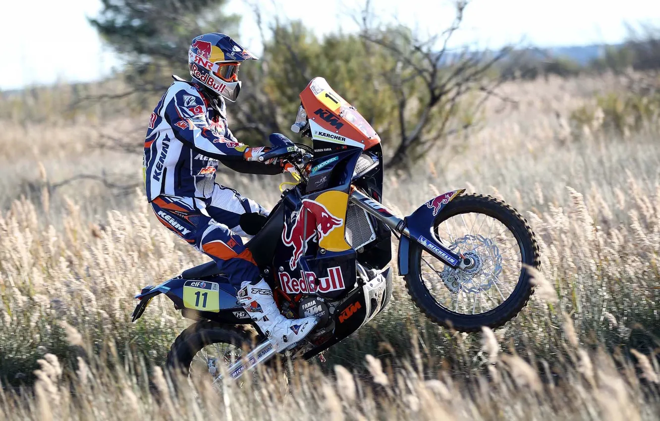 Photo wallpaper Sport, Race, Motorcycle, Racer, Moto, Red Bull, Rally, Dakar