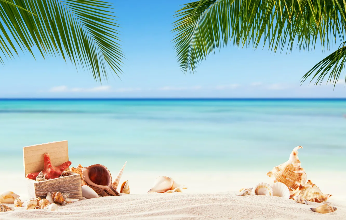 Photo wallpaper sand, sea, wave, beach, summer, the sky, stars, palm trees