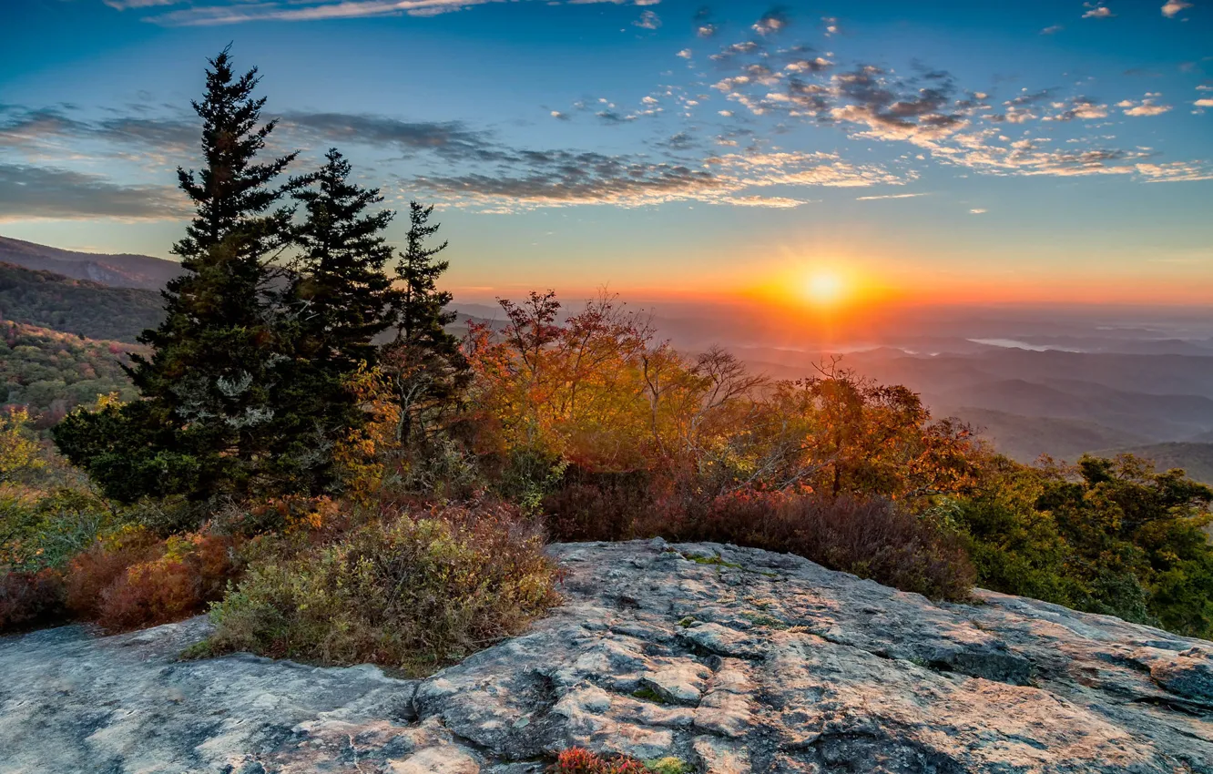 Photo wallpaper the sun, trees, landscape, mountains, nature, dawn, morning, shrub