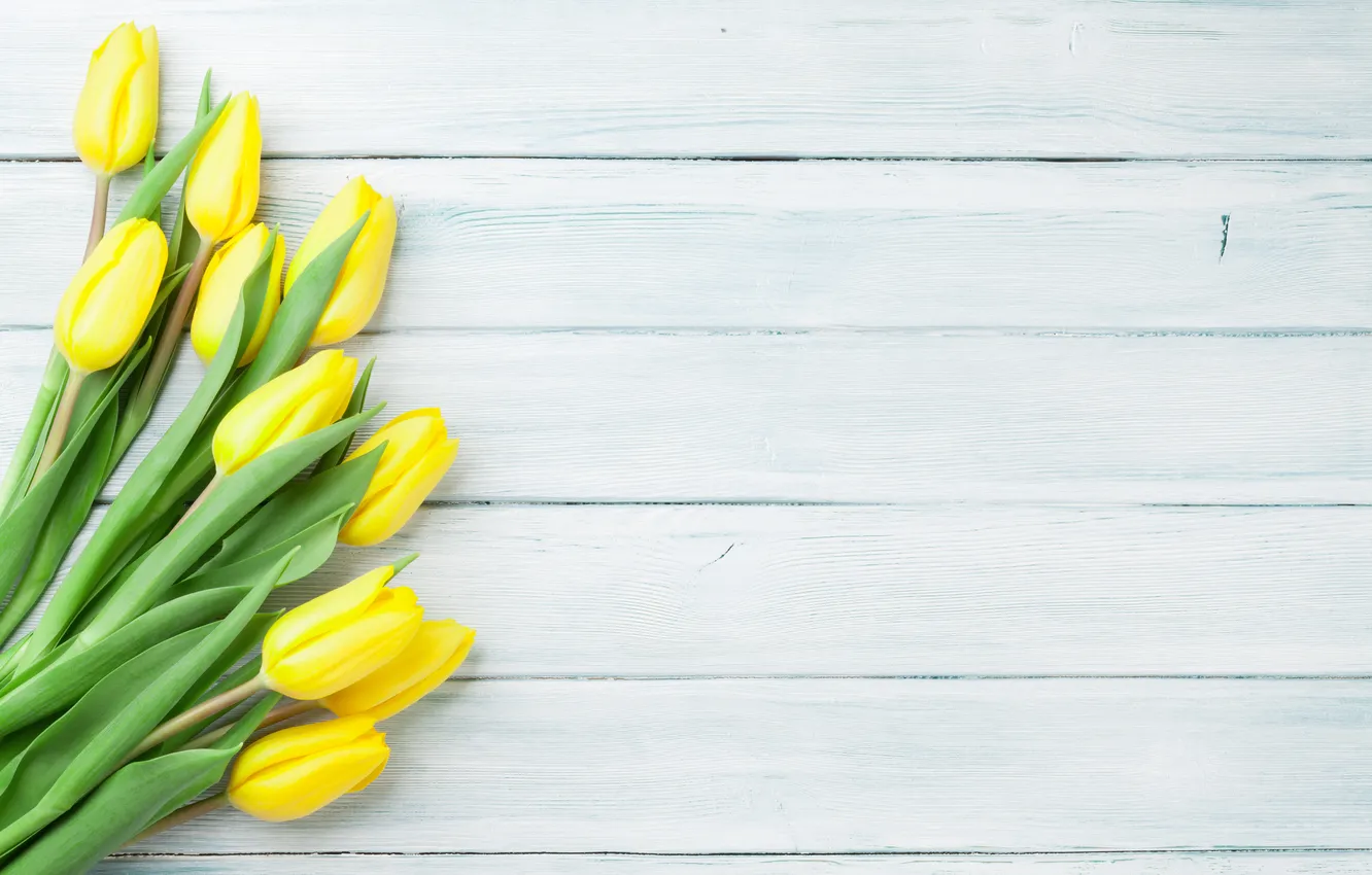 Photo wallpaper flowers, bouquet, tulips, yellow, wood, flowers, tulips, spring