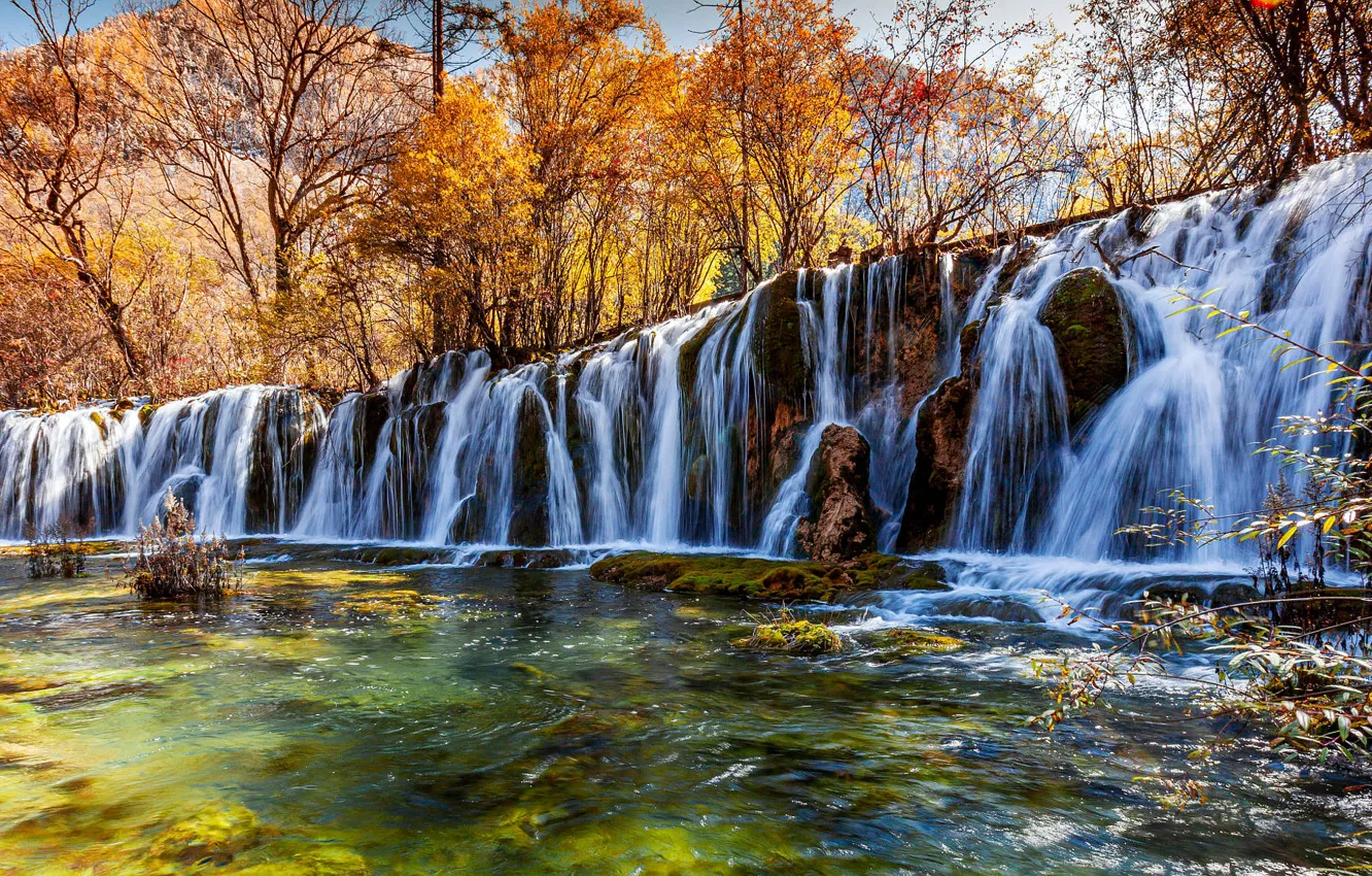 Photo wallpaper autumn, forest, trees, branches, river, rocks, for, waterfall