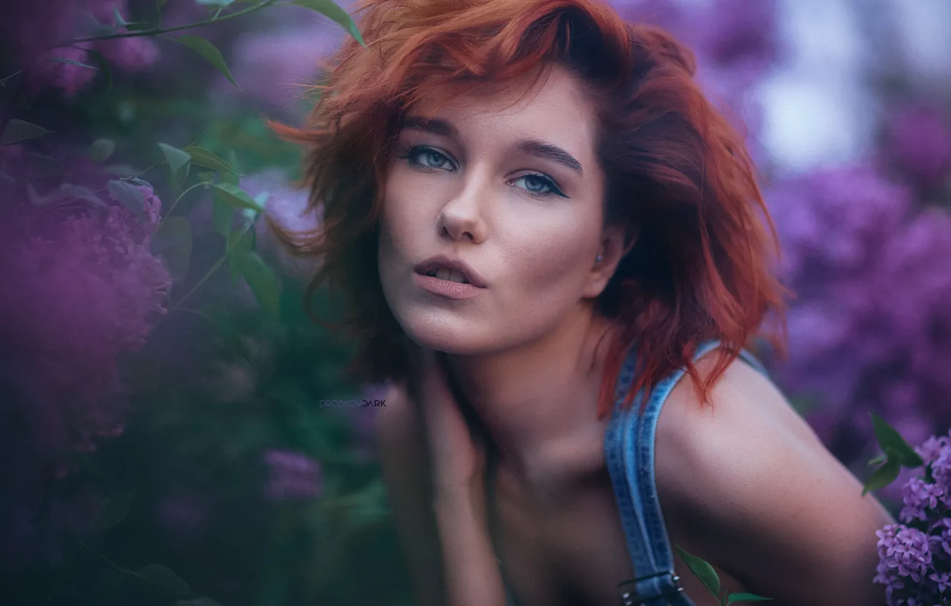 Photo wallpaper look, girl, face, red, redhead, lilac, Alexander Drobkov-Dark, Maria Larina
