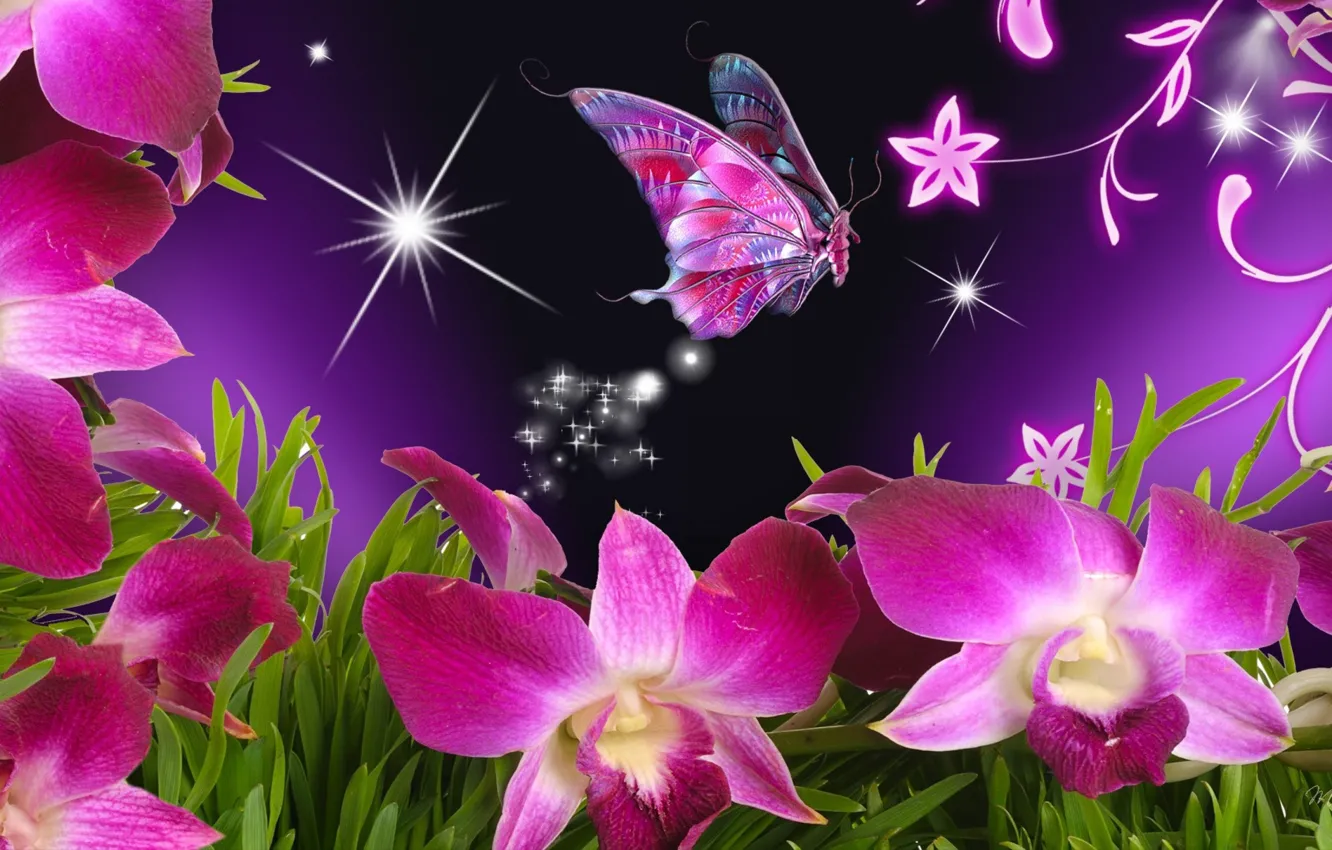 Photo wallpaper flower, butterfly, beautiful