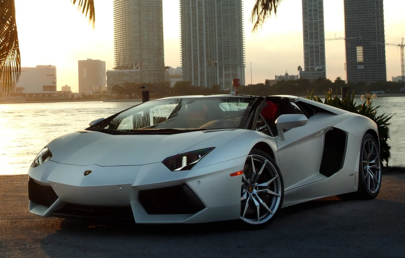 Photo wallpaper machine, Roadster, Roadster, beautiful, car, Voitur, LP700-4, Aventador