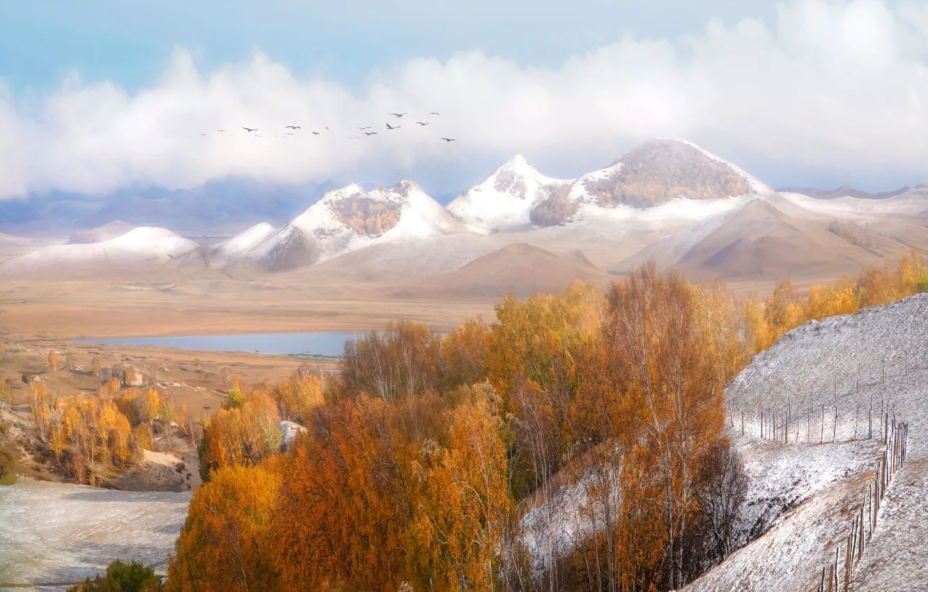 Photo wallpaper autumn, forest, clouds, snow, mountains, fog, lake, rocks