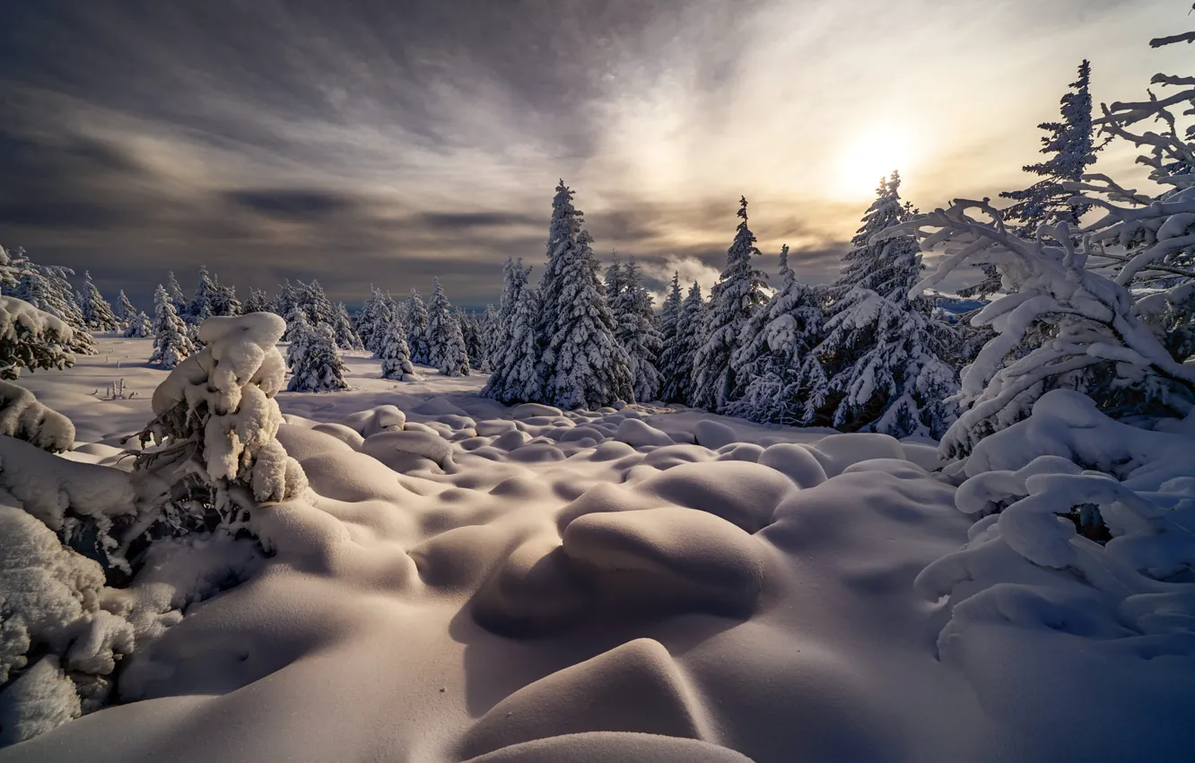 Photo wallpaper winter, snow, trees, landscape, nature, ate, the snow, Robert Didierjean