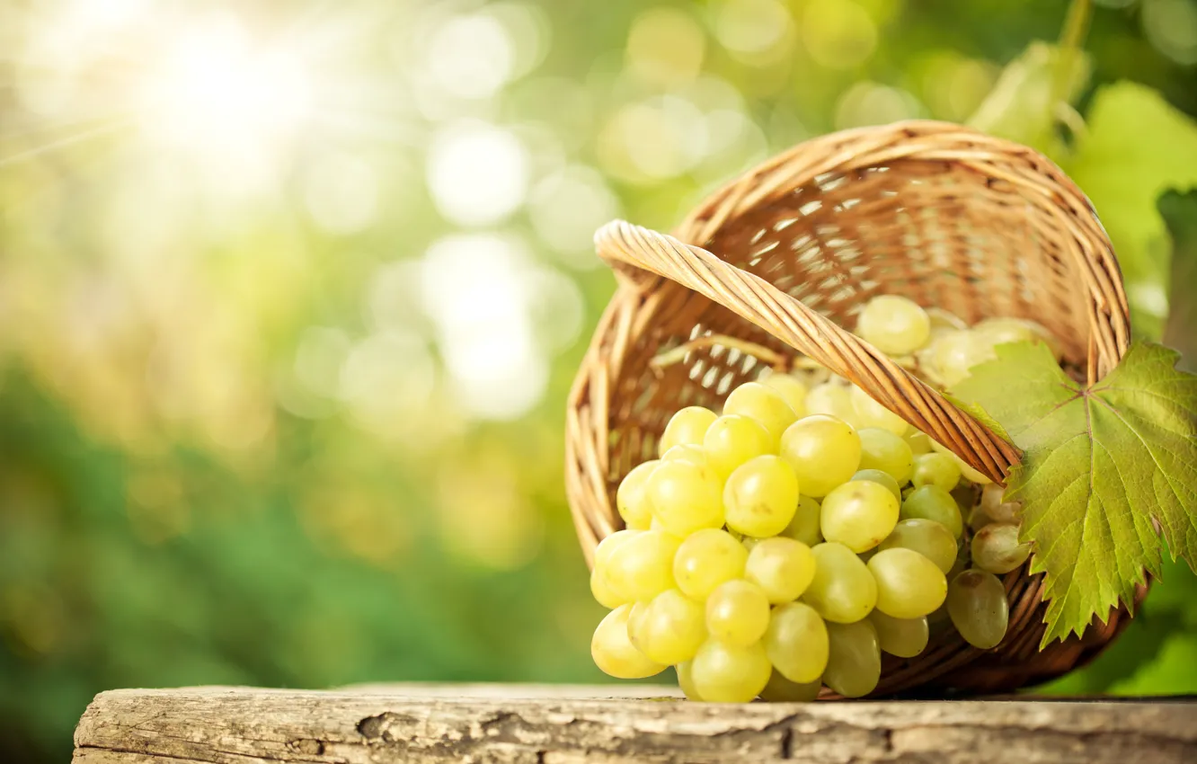 Photo wallpaper leaves, table, basket, grapes, bunch, bokeh