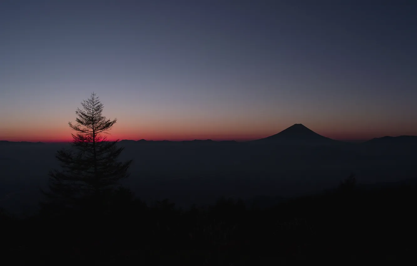 Photo wallpaper the sky, tree, mountain, Japan, horizon, glow, Fuji