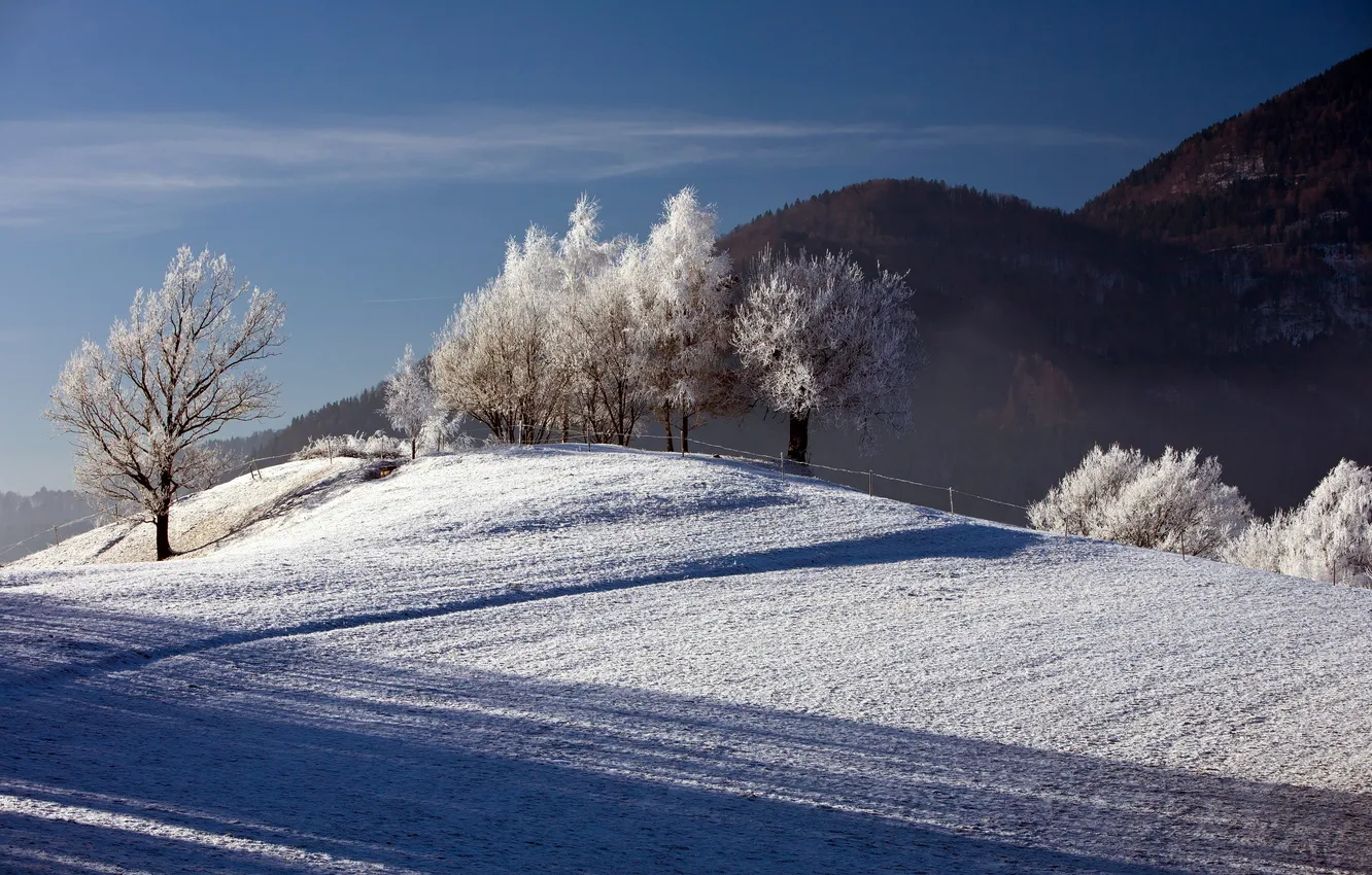 Photo wallpaper winter, snow, trees, landscape, the fence