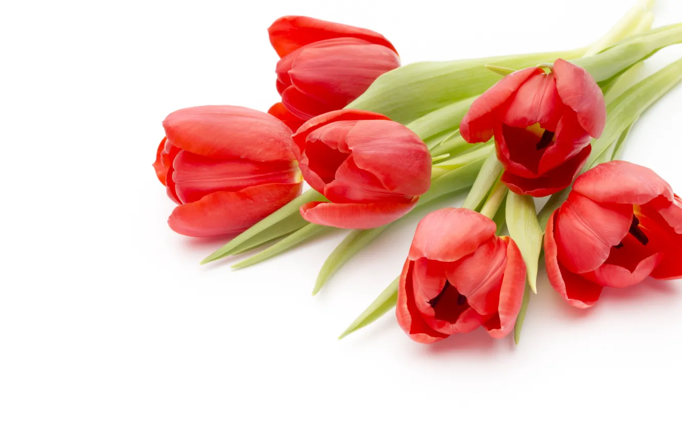 Photo wallpaper flowers, bouquet, red, fresh, pink, flowers, beautiful, romantic