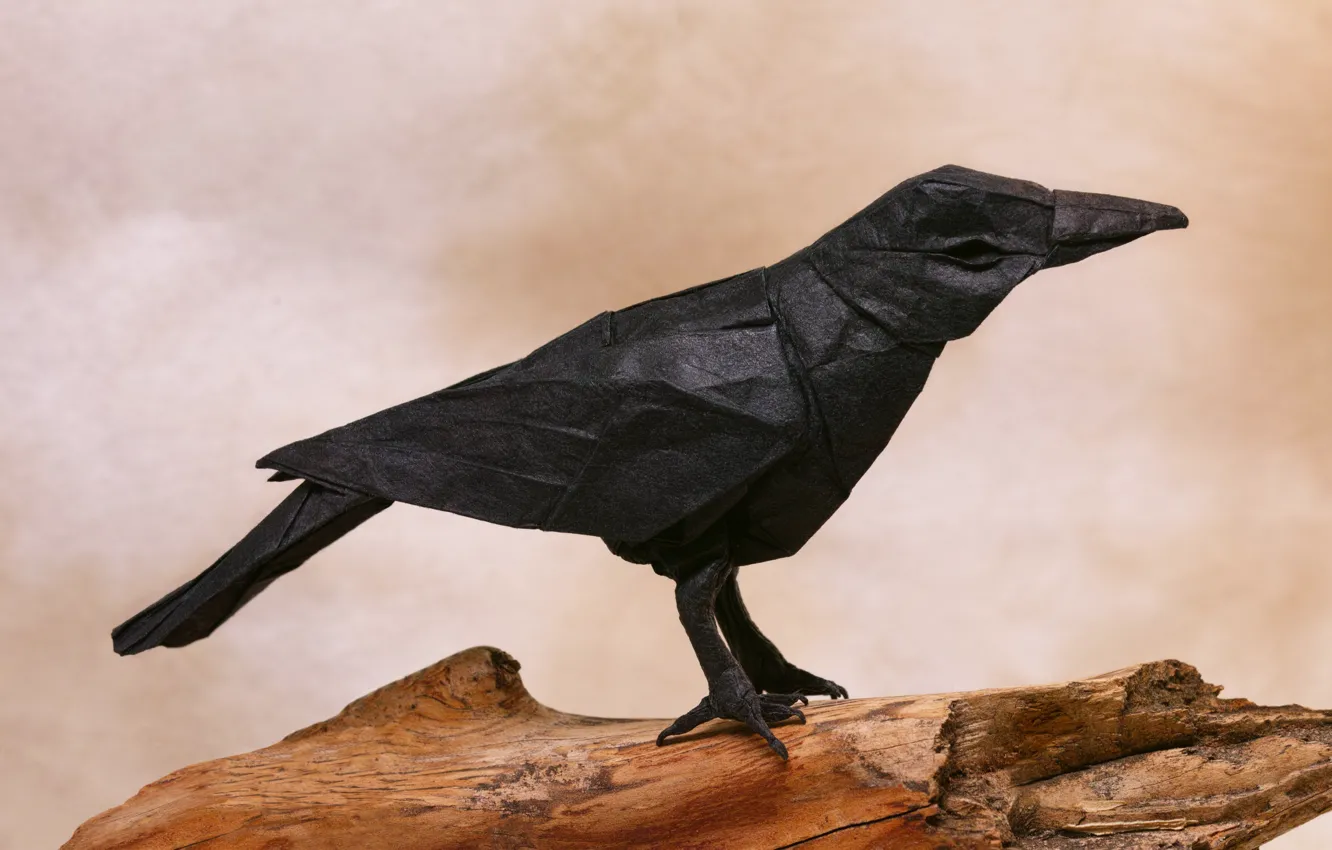 Photo wallpaper paper, Raven, origami, Crow