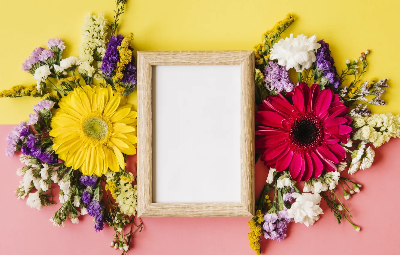 Photo wallpaper flowers, spring, frame, colorful, chrysanthemum, wood, flowers, spring