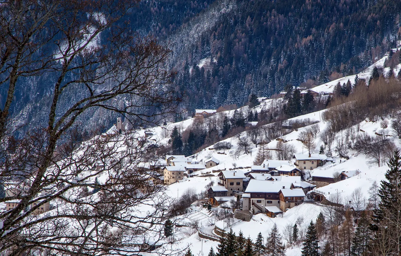 Photo wallpaper winter, forest, snow, trees, mountains, home, slope, Alps