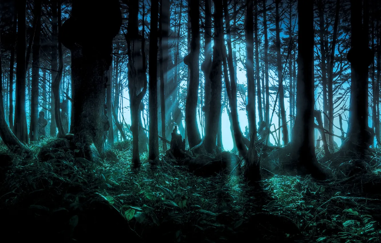 Photo wallpaper forest, night, dark, terrible
