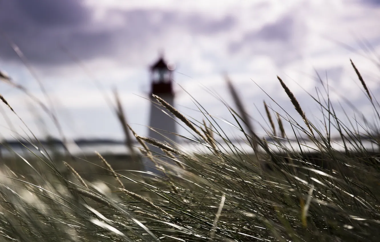 Photo wallpaper grass, bokeh, lighthouse