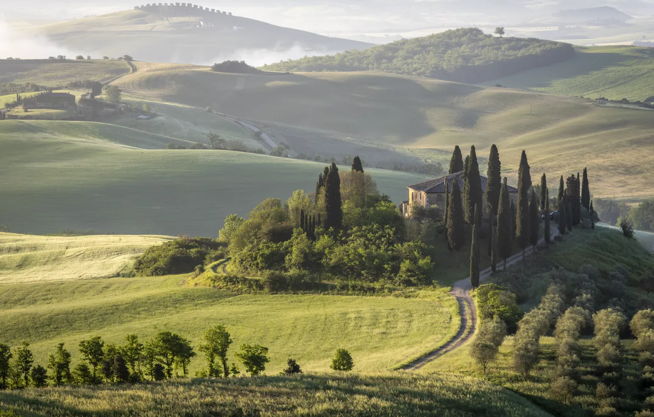 Photo wallpaper road, field, trees, mountains, fog, hills, home, dal
