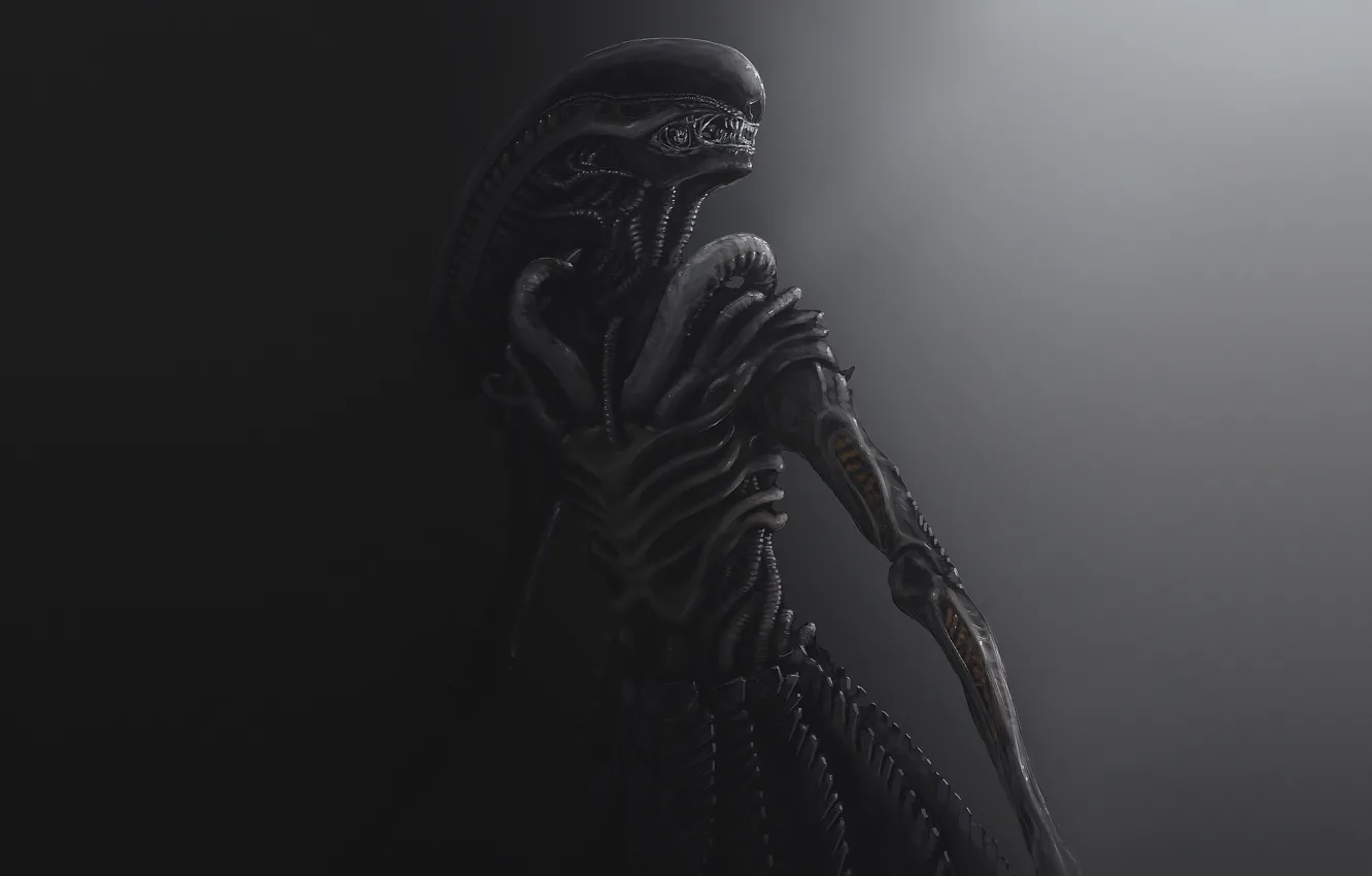 Alien stranger