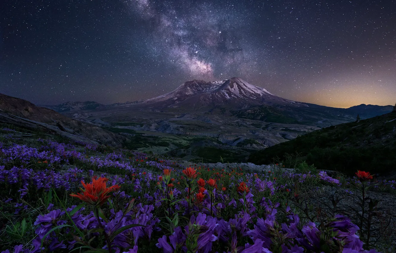 Photo wallpaper field, the sky, stars, flowers, mountains, night, the milky way