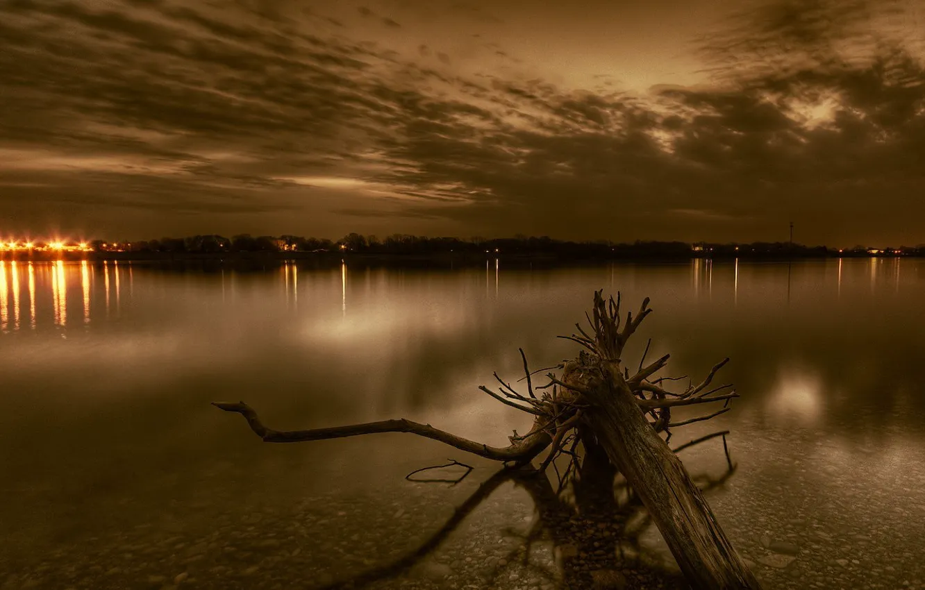 Photo wallpaper lights, roots, river, the evening